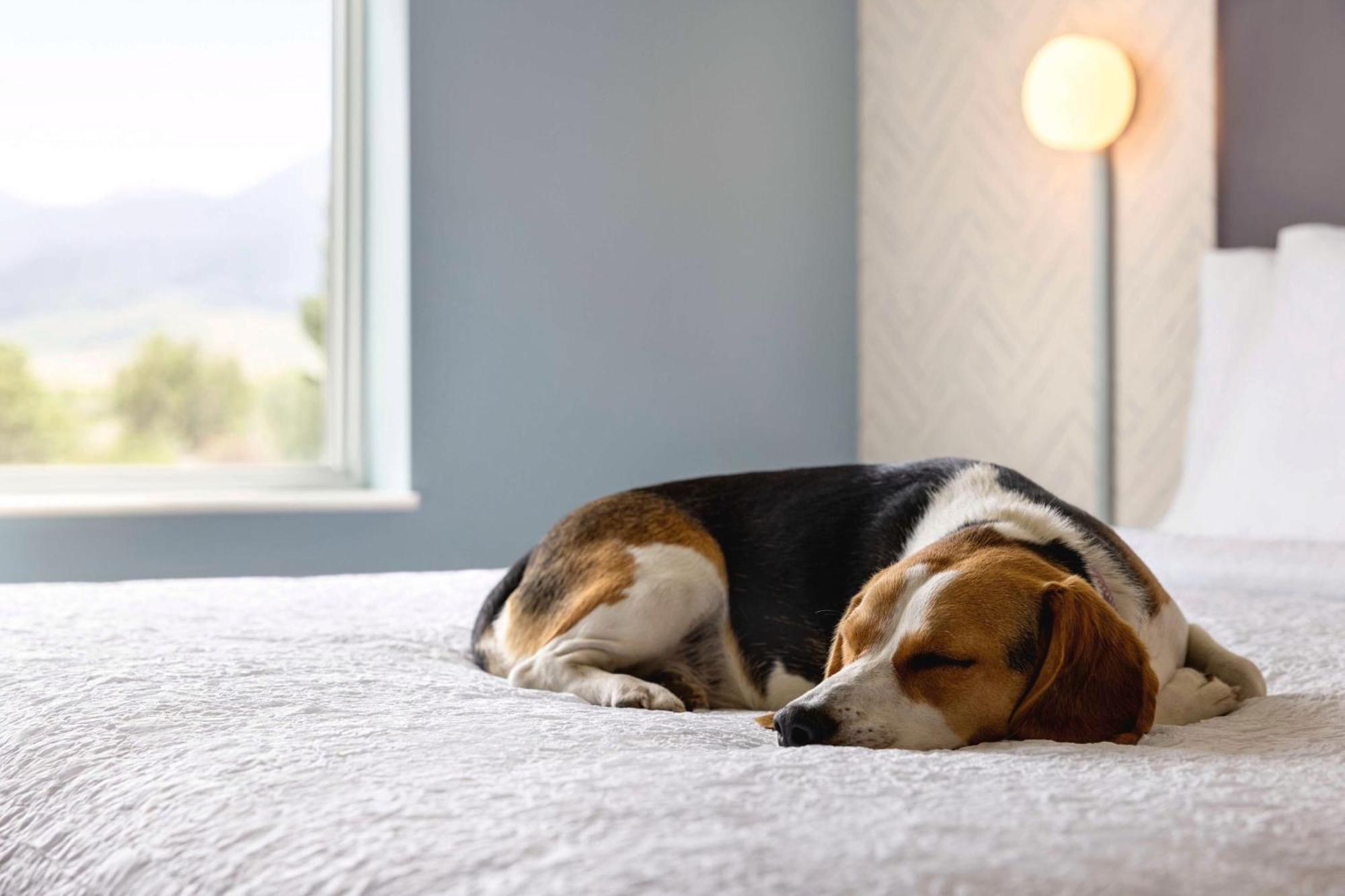 Home2 Suites Livingston Yellowstone Ngoại thất bức ảnh